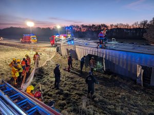 Un camion avec une trentaine de vaches à bord se couche sur le flanc : les images d'une longue mission de sauvetage dans le Tarn