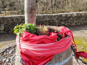 Consternation dans ce village de l'Aveyron : les décorations de Noël ont été vandalisées