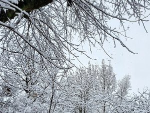 CARTE. Météo : vigilance orange encore activée, l'Occitanie quasiment remplie de jaune... le point pour ce lundi