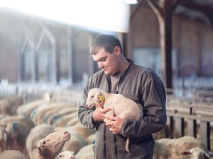 Deux agriculteurs aveyronnais dans la prochaine saison de l'Amour est dans le pré sur M6