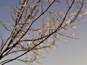 Météo : -4°C puis 17°C... qu'est-ce que l'amplitude thermique, parfois très grande en Aveyron ce vendredi ?