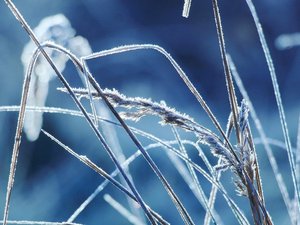 Météo : encore des pointes à -8,2°C en Aveyron, ces communes où le froid a de nouveau régné ce samedi matin