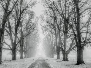 CARTE. Neige et pluie verglaçante : 11 départements passent en vigilance jaune jusqu'à dimanche matin