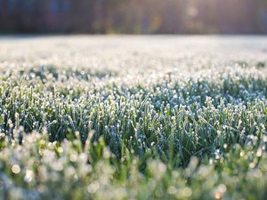 Météo : -8°C, -7°C, -6,5°C... l'Aveyron encore frappé par les gelées ce dimanche matin, voici les communes les plus touchées