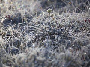 Coup de froid : - 9,3 °C enregistrés en Aveyron ce 31 décembre, voici où la température est descendue le plus bas