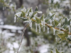 CARTES. Météo : pluies verglaçantes et neige avec 47 départements en vigilance jaune, mais douceur au sud-ouest