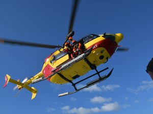 Un groupe de randonneurs entend des cris en pleine forêt et appelle les secours... qui tombent nez à nez sur des chasseurs