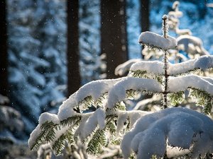 CARTE. Neige, verglas et crues : Météo France étend sa vigilance orange, six départements désormais impactés