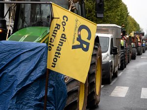 Élections à la chambre d'agriculture : Bousquet-Cassagne, Le Floc'h... des figures de la Coordination rurale attendues en Aveyron