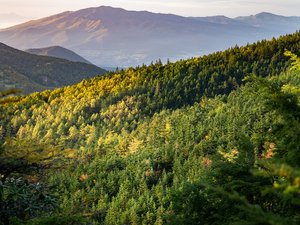 Perdu en montagne pendant 13 jours, un randonneur survit grâce à l'eau d'un ruisseau, des baies et deux barres de muesli