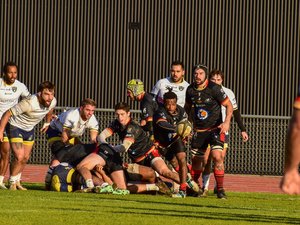 Rugby : Millau, attention janvier !