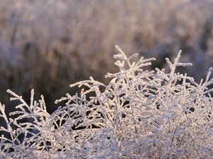 CARTE. Météo : la vigilance 