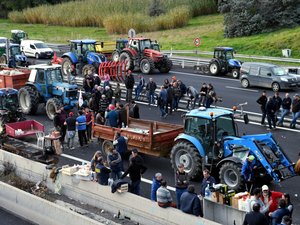 Élections à la chambre d'agriculture de l'Aveyron : un scrutin à forts enjeux