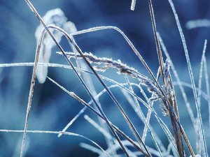 Météo : jusqu'à -9,5°C enregistrés en Aveyron ce jeudi matin, combien a-t-il fait dans votre commune ?