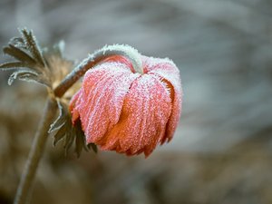 Météo : il a encore fait jusqu'à - 9,3°C en Aveyron samedi matin, voici les secteurs où les températures étaient les plus glaciales