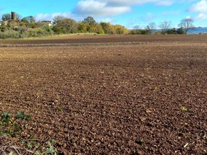 Projet d'aire de grand passage dans cette commune de l'Aveyron : ce qu'a demandé le maire à la préfecture