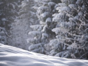 Les Pyrénées frappées par un nouveau drame : deux randonneurs ont été retrouvés morts en pleine nuit