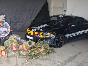 Un homme contrôlé sous l'emprise du cannabis au volant : les gendarmes découvrent sa plantation dans un village de l'Aveyron