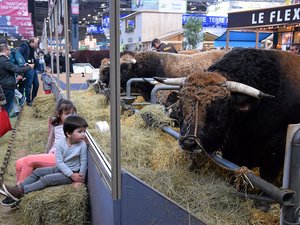 Salon de l'agriculture 2025 : l'Aveyron 