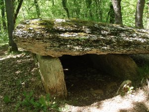 Premier département français en matière de dolmens, l'Aveyron dispose de ses propres appellations génériques