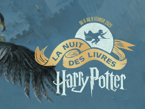 La nuit des livres Harry Potter : voici quel jour va se tenir l'événement dans la librairie de votre commune