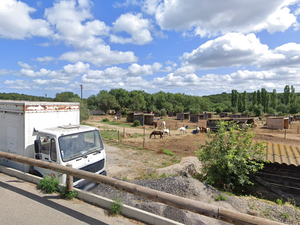 L'avion de chasse passe à toute vitesse au-dessus du centre équestre, panique et chutes en cascade chez les petits cavaliers