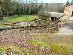 Vandalisme en Aveyron : un chêne abattu à la tronçonneuse tombe sur un prieuré qui a servi de décor de cinéma