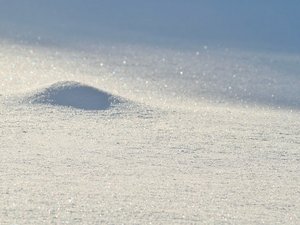 CARTE. Météo : d'importantes chutes de neige annoncées en Aveyron et en Lozère, placés en vigilance orange, quelles sont les hauteurs attendues ?