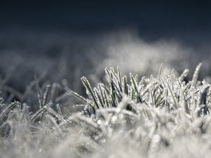 Neige en Aveyron : le District reporte toutes les rencontres de football prévues ce week-end des 8 et 9 février