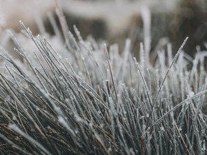 Météo : le jour d'après s'est fait sentir en Aveyron, jusqu'à -9,4°C notés au lendemain des chutes de neige