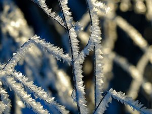 Météo : -15,4°C ce dimanche matin en Lozère, comment expliquer de telles valeurs après l'épisode de neige ?