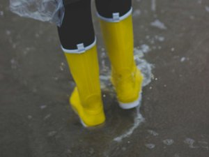 Scandale sanitaire, péril fécal... dans le Sud-Ouest, des habitants confrontés à une inondation... d'excréments !