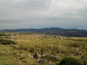 Intelligence artificielle : la Lozère, territoire idéal pour accueillir des data centers ?