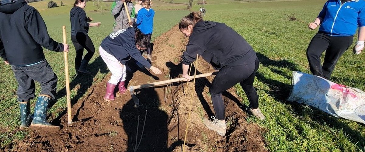 Les élèves de 3e du collège Saint-Louis engagés pour la planète