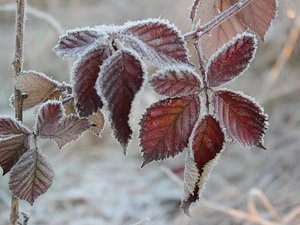 Météo : - 8,4 °C sur le Larzac, - 7,5 °C à Rodez... Voici où il a fait le plus froid ce samedi matin en Aveyron