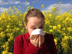 Allergies aux pollens : l'Aveyron passe en alerte rouge comme quasiment toute l'Occitanie et le Sud-Ouest