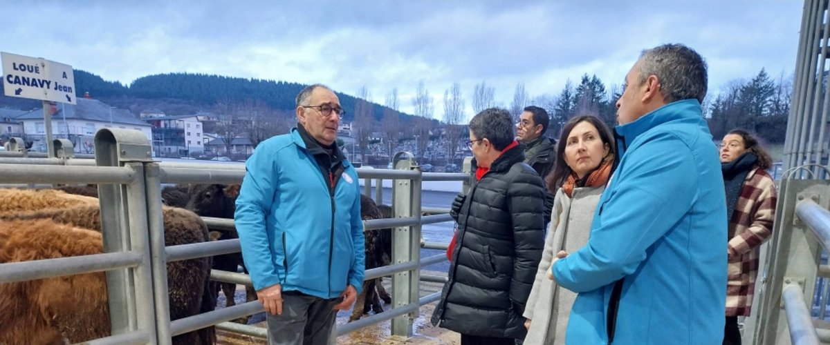 Laissac-Sévérac l'Église. La préfète visite le marché des bestiaux pour mieux appréhender le territoire