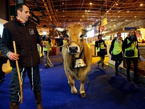 CARTE INTERACTIVE. Salon de l'agriculture : éleveurs, producteurs... où retrouvera-t-on le meilleur de l'Aveyron à Paris ?