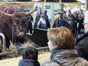 Salon de l'agriculture 2025 : IA, Maroc, animations... découvrez le programme complet de la 61e édition