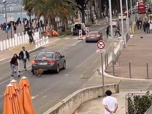 VIDÉO. Un chien se jette entre les voitures à Nice pour mordre un lapin, la scène devient virale