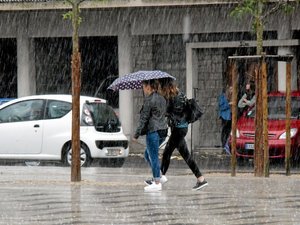 CARTE. Météo : orages, pluie, vent, crues... 49 départements de France en vigilance jaune, ce mardi 25 février