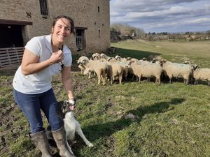 Une passionnée organise deux concours de chiens de troupeau en Aveyron, qualificatifs pour la coupe de France