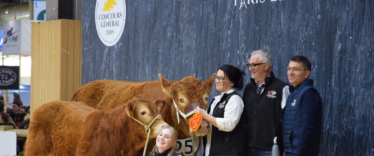 Salon de l'agriculture 2025 : l'éleveur de Bozouls, Pierre Calmelly, brille une fois encore au concours général de la race limousine