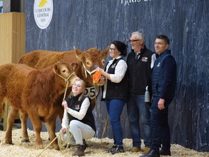 Salon de l'agriculture 2025 : l'éleveur de Bozouls, Pierre Calmelly, brille une fois encore au concours général de la race limousine