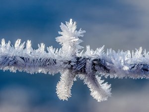 MÉTÉO. Retour de la neige et températures en chute libre : les prévisions du dernier week-end de l'hiver en Aveyron