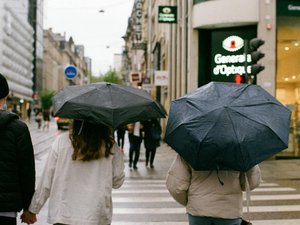 VIDEO. Vent d'autan : face aux fortes rafales et ses dangers, quels sont les bons réflexes à adopter ?