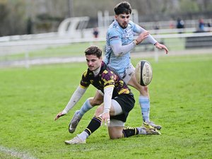 Rugby : LSA cartonne mais pas (encore) maintenu, Saint-Affrique reste lui en Fédérale 3, Rodez et Decazeville s'imposent, Millau déçoit encore