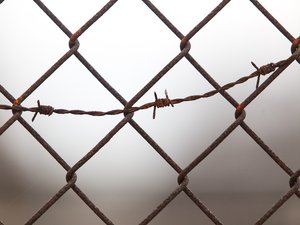 Une brutale descente aux enfers : en quelques jours, il remporte un énorme jackpot... et termine en prison