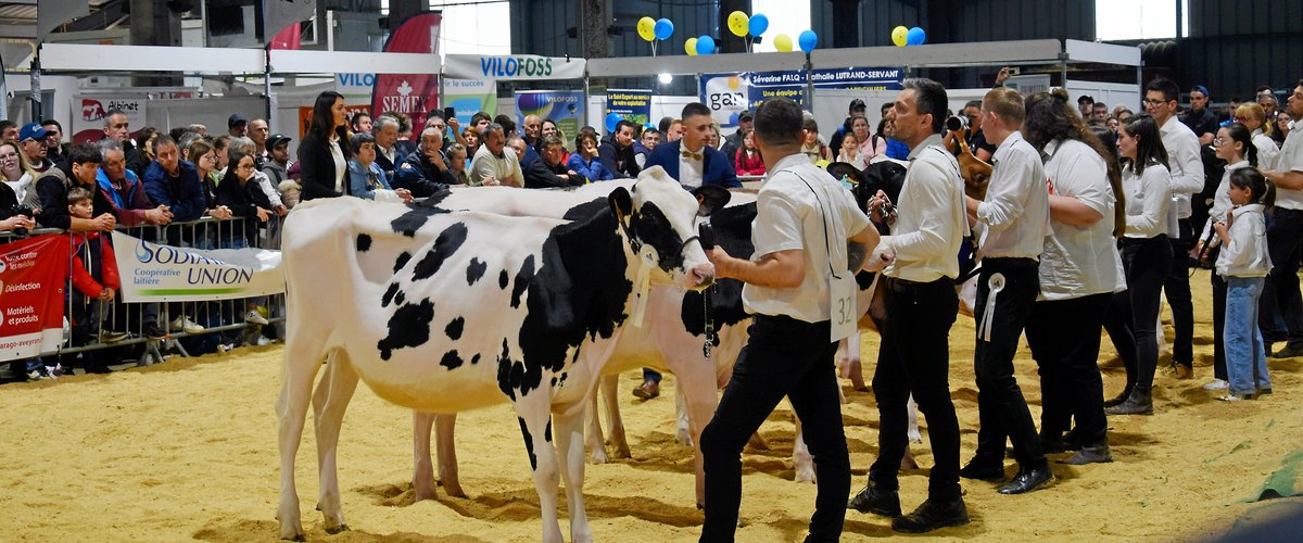 Aveyron : à la foire de Baraqueville, il flottait comme un air du Salon de l’agriculture