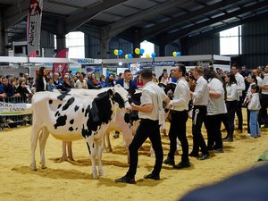Aveyron : à la foire de Baraqueville, il flottait comme un air du Salon de l'agriculture